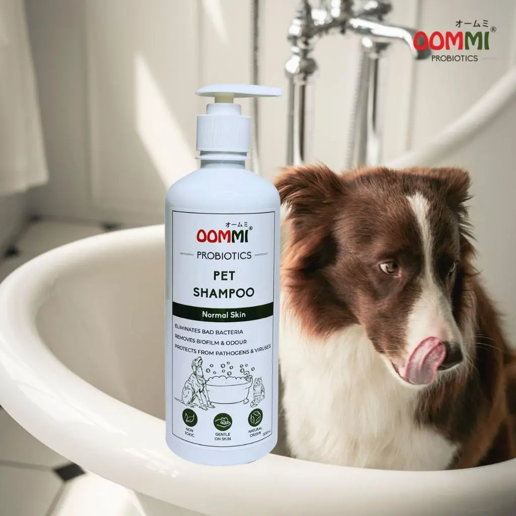 [OOMMI] Probiotics Pet Shampoo Organic Apple (500ml)